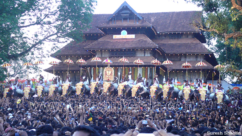 thrissur-pooram-2011- (54)